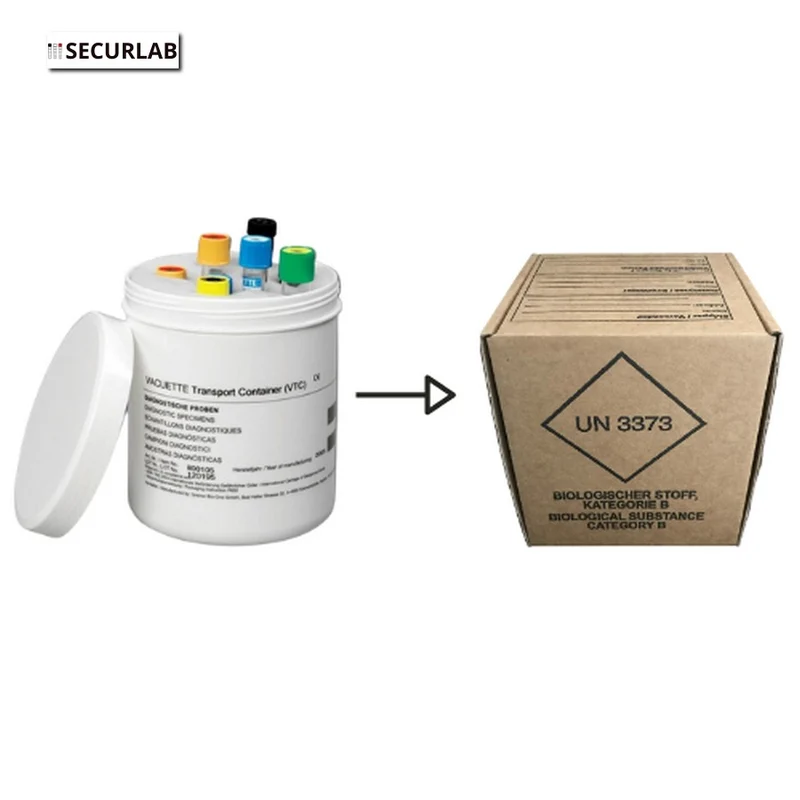 Kit trasporto Tamponi / Provette - 12 provette/tamponi ( Categoria B - UN3373 )