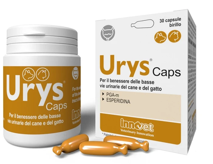 Urys caps 30 capsule