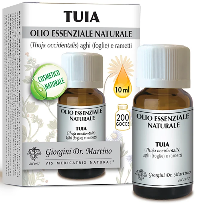 Tuia olio essenziale naturale 10 ml
