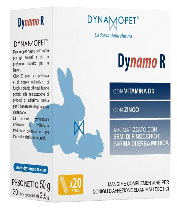 Dynamo r 20 stick da 2,5 g