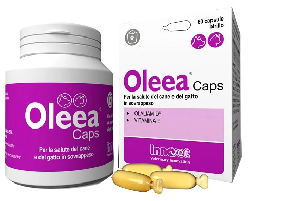Oleea Caps 60Compresse