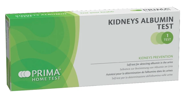 Test autodiagnostico prima kidneys albumin misurazione livello albumina nelle urine