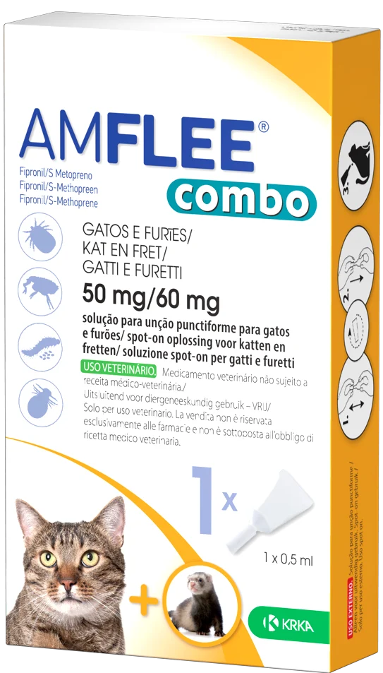 Amflee combo*1pip gatti/furett