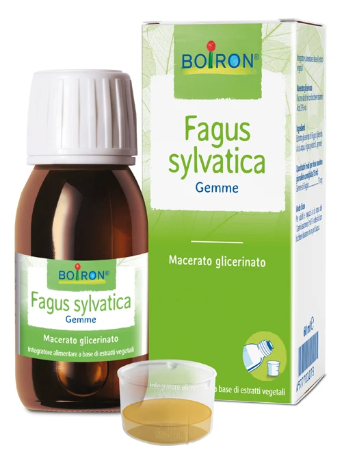 Fagus Sylvatica Boiron Mg 60ml