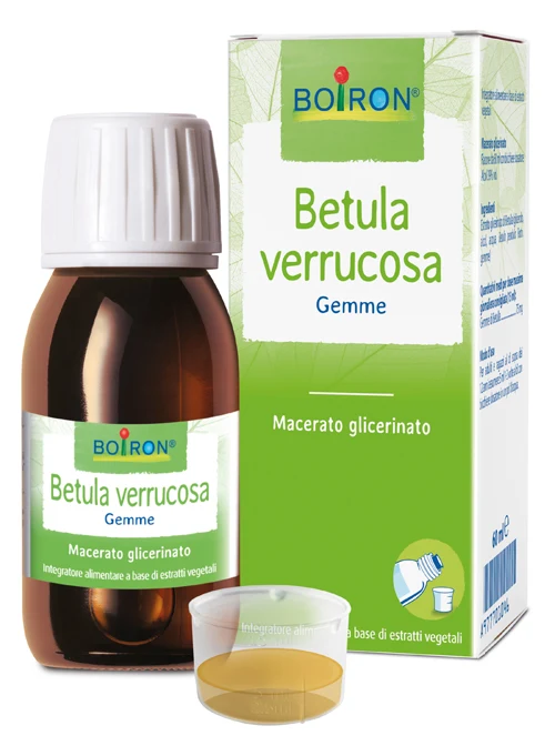 Betula Verruco Boiron Mg 60ml