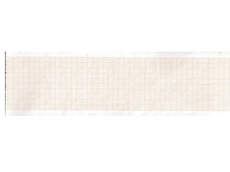 Carta Termica Ecg 63X30 Mmxm - Conf. 20 pz.