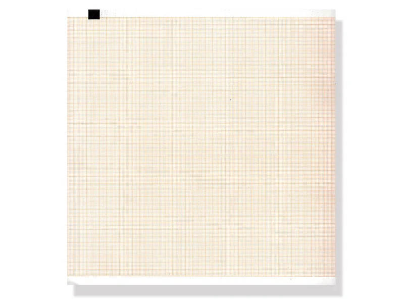Carta Termica Ecg 210X300 Mmxm