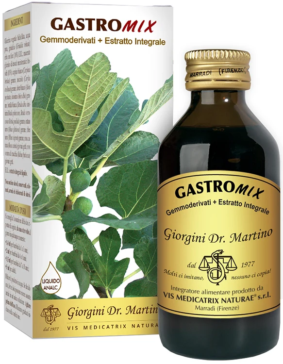 Gastromix liquido analcolico 100 ml