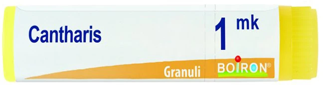 Cantharis Mk Gl