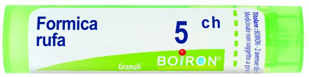 Formica rufa 5ch gr