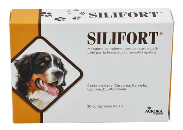 Silifort 30 Compresse 1G