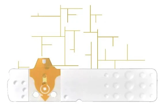 Linea D Oro 25Str Glicemia